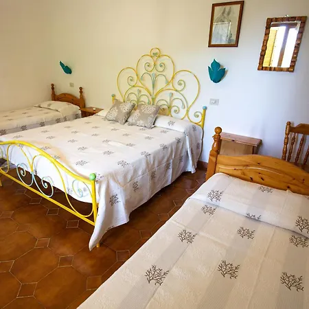 Turismo Rurale Cudacciolu * Arzachena